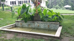 Fountain with Fish Spouts