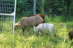 IMG_6789