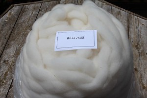 Rita and Henrietta's roving