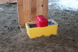Waterer That No One Uses