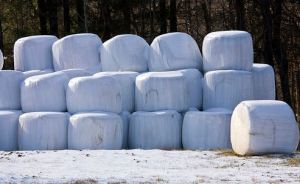 Next year's pile of round bales?