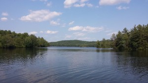 Grafton Pond