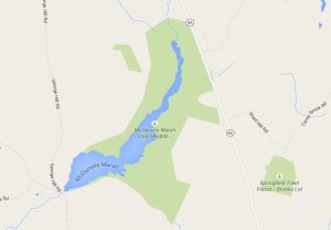 marsh